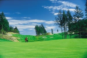 Bear Mountain Golf