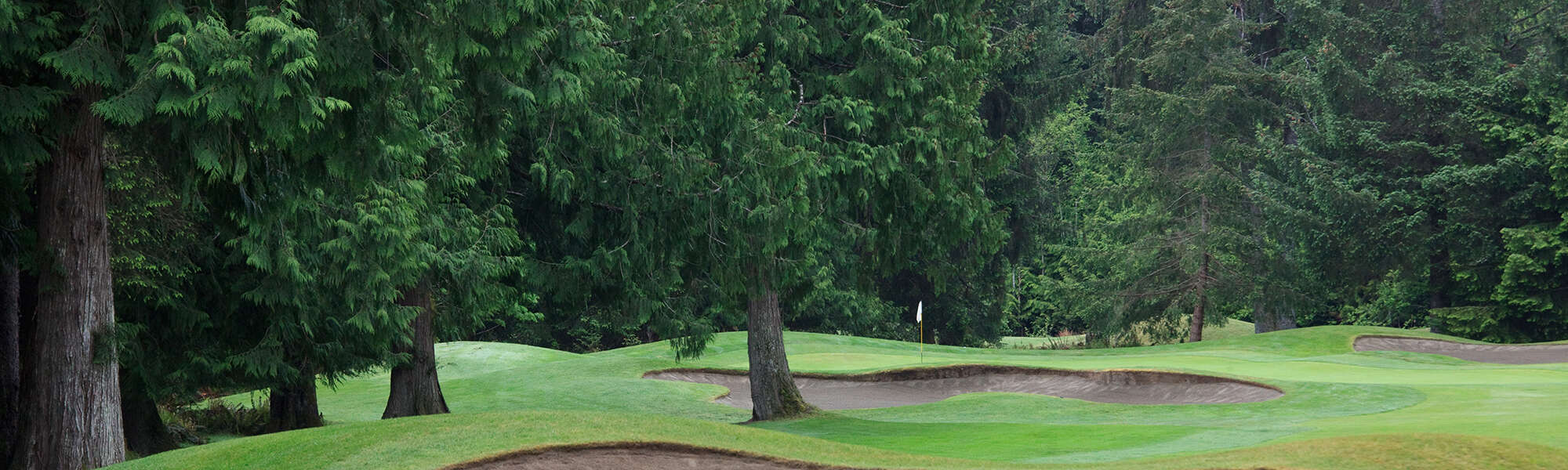 Storey Creek Golf Course Vancouver Island Golf Courses