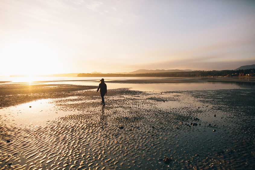 Parkville Beach Sandcastles Vancouver Island