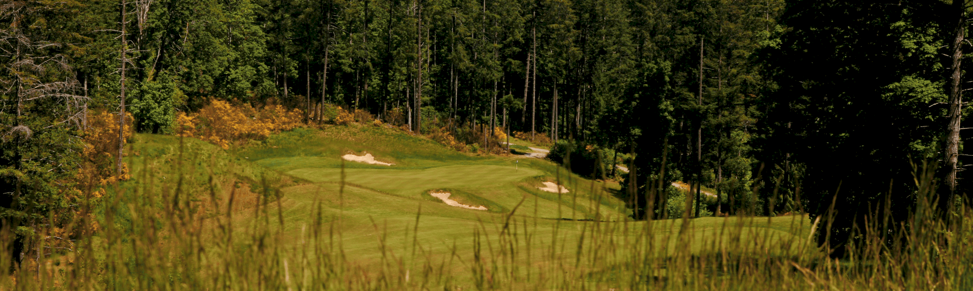 Bear Mountain Valley Golf Course - Vancouver Island Golf Courses