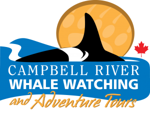 Campbell River Whale Watching 