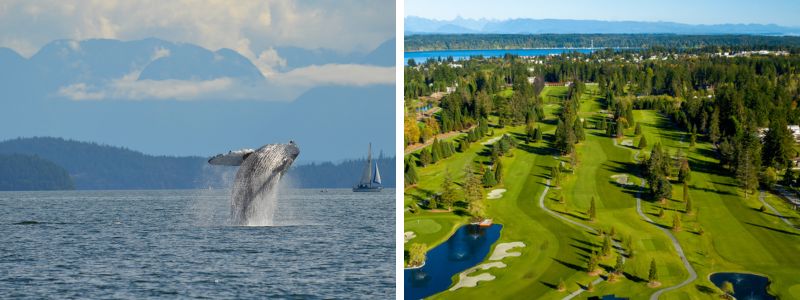 Image of Campbell River Whale Watching on left and Campbell River Golf Club on right