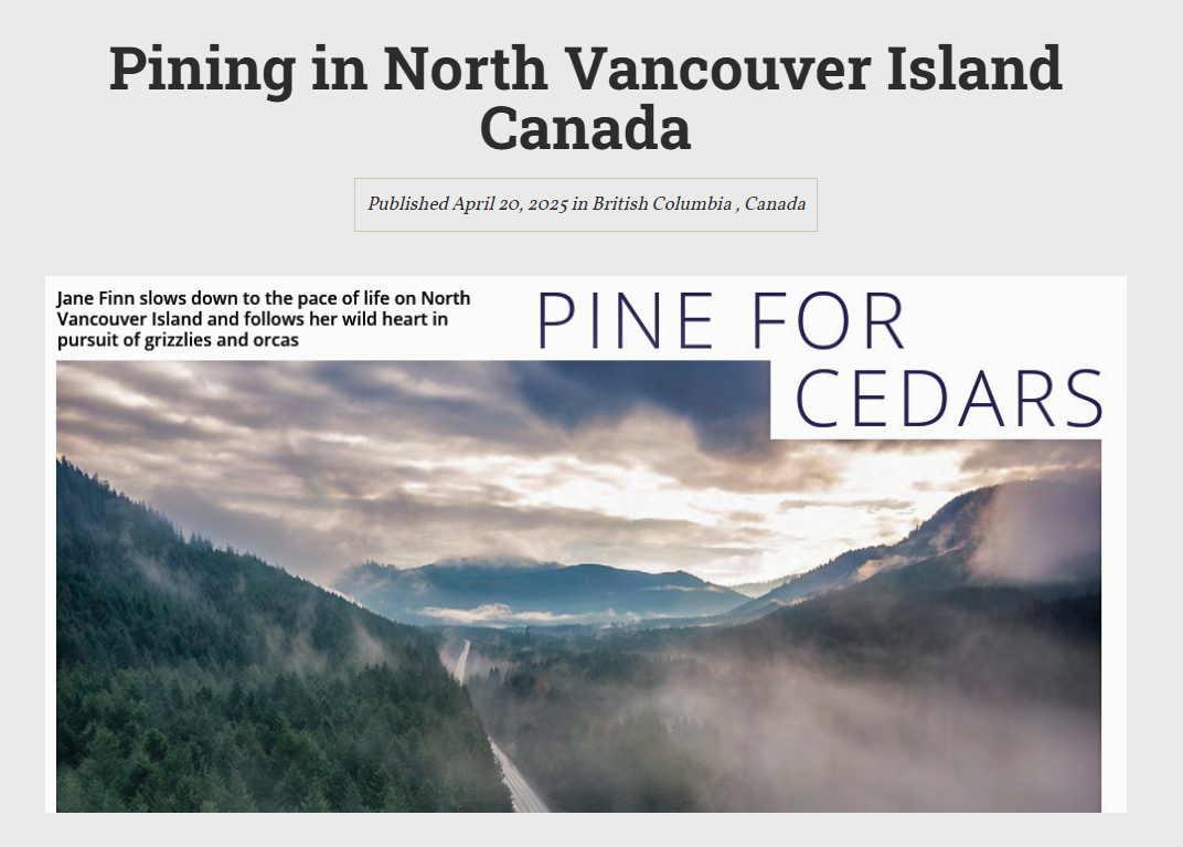 Pine for Cedars on North Vancouver Island feature